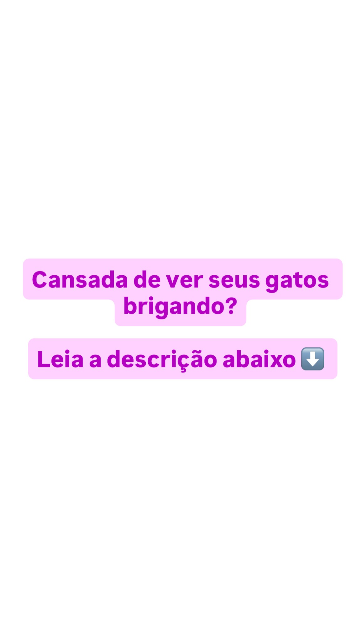 AD102 [IMAGEM] [STORY]  Fundo branco - texto roxo com fundinho - cansada de ver briga
