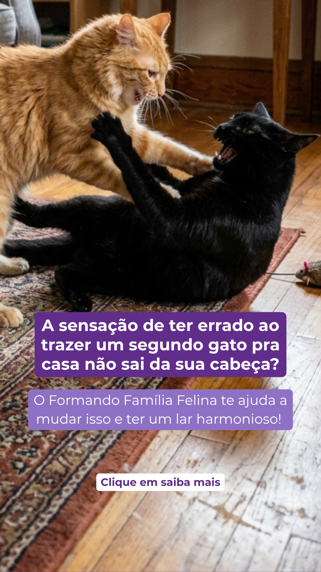AD056 [IMAGEM] [AUTOMATICO] A sensacao de ter errado