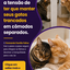 AD091 [IMAGEM] [AUTOMATICO] Acabe com a tensao